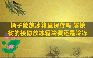 橘子能放冰箱里保存吗 嫁接树的接穗放冰箱冷藏还是冷冻